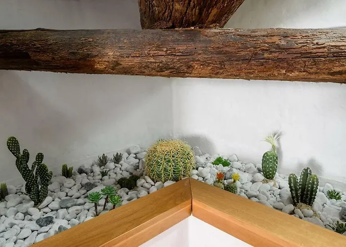 Penthouse In Near Piazza Del Campo Siena