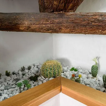 Penthouse In Near Piazza Del Campo سيينا